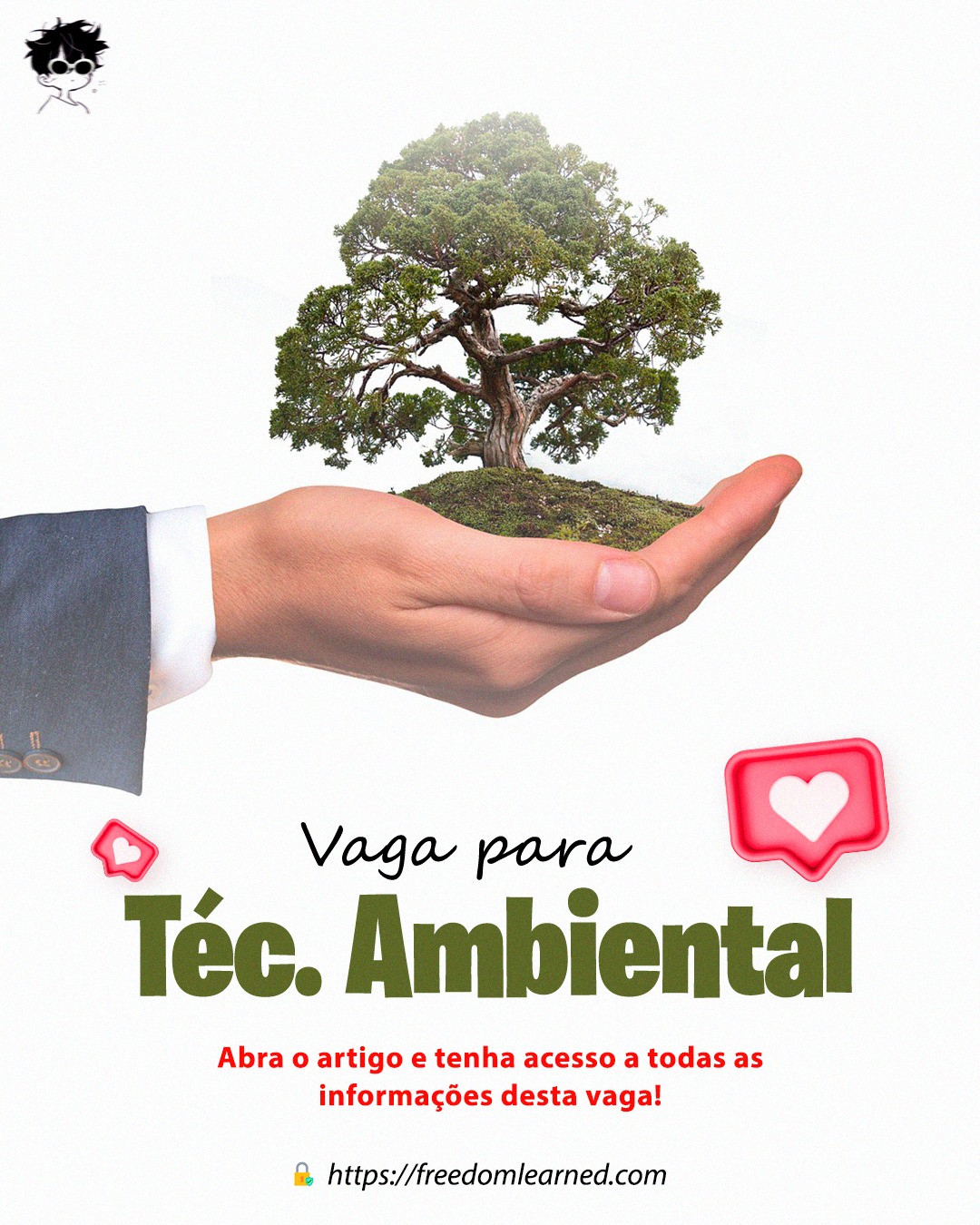 Técnico Ambiental